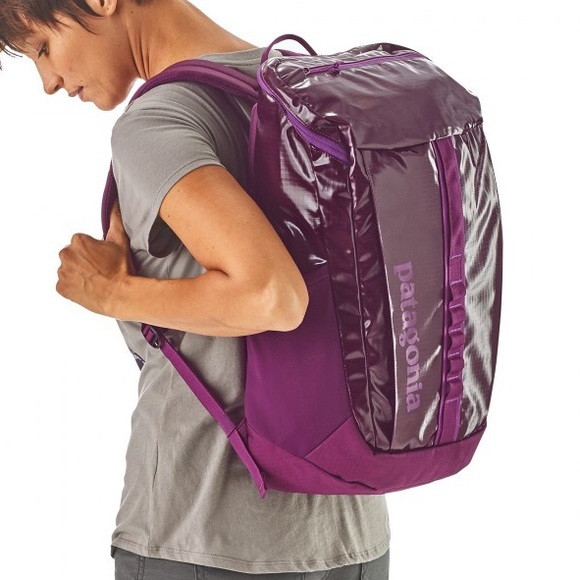 purple patagonia backpack